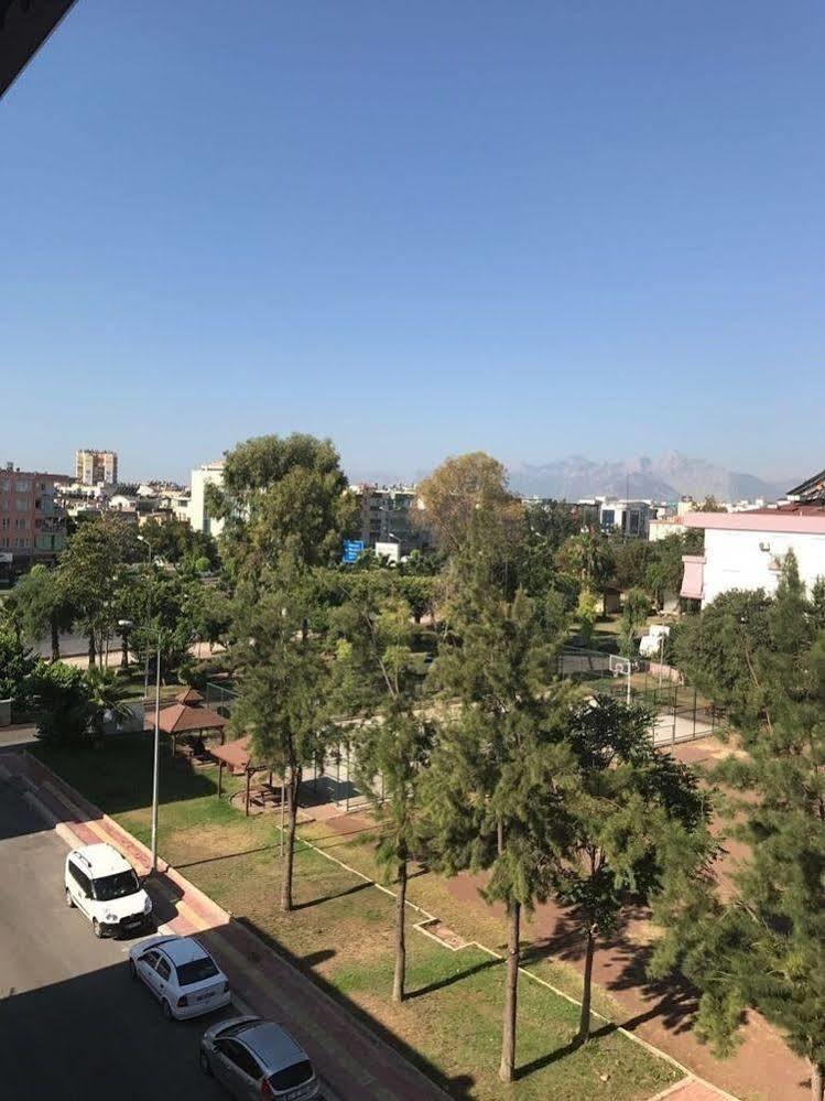 Mutado Готель 2*